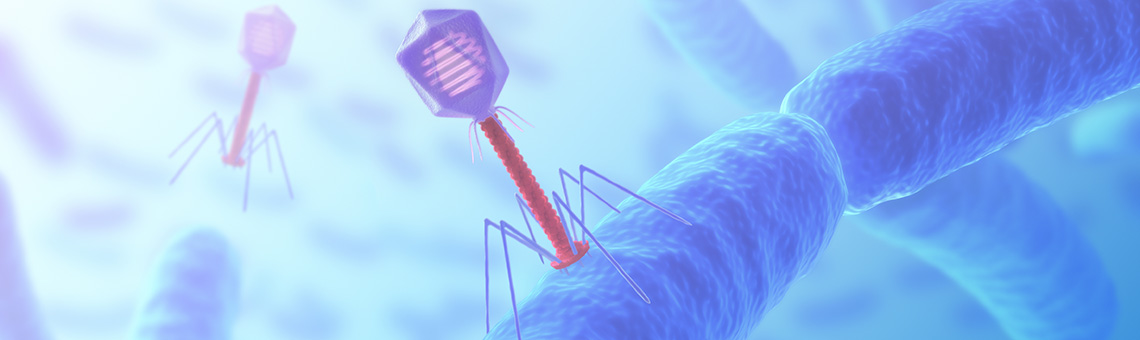 Animerad bild av bakteriofager som attackerar bakterier.