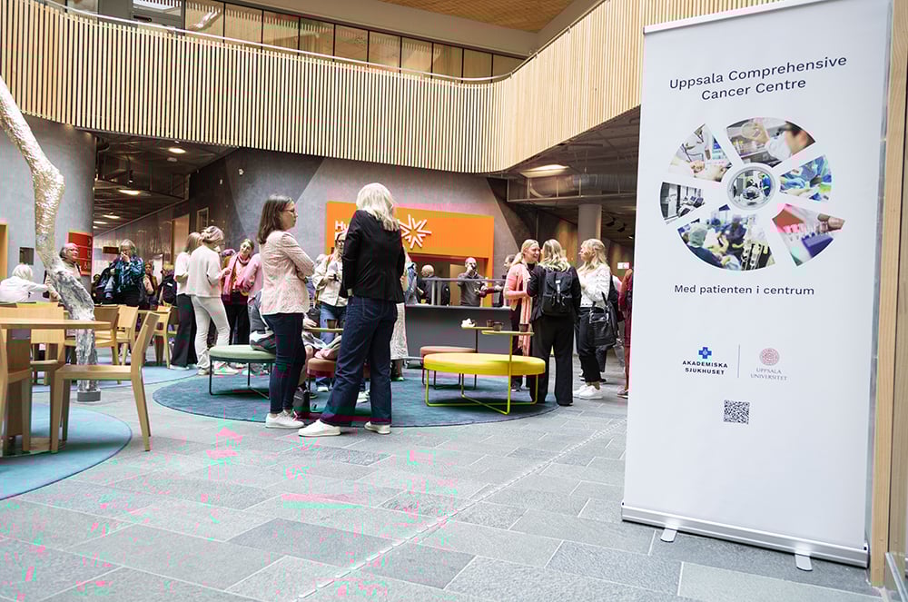 Samling människor i mingel på öppen yta