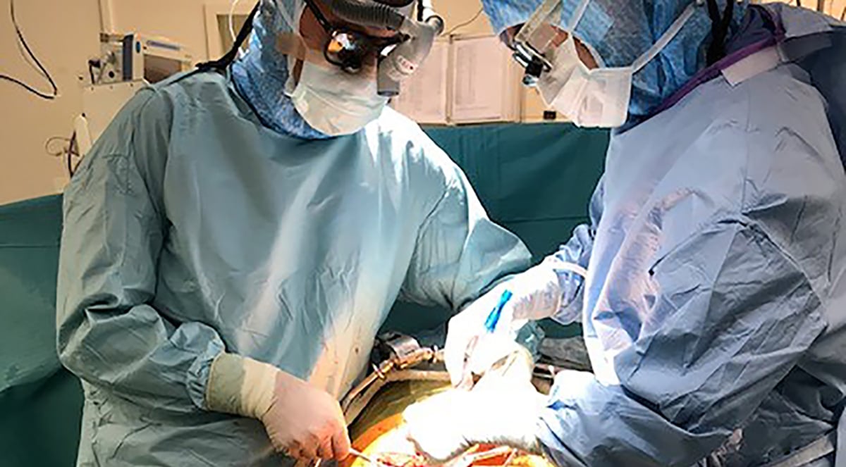 Totalt har ett tjugotal patienter transplanterats med njurar från DCD-donatorer på pilotsjukhusen i Sverige. Den första genomfördes på Akademiska sjukhuset 2019.