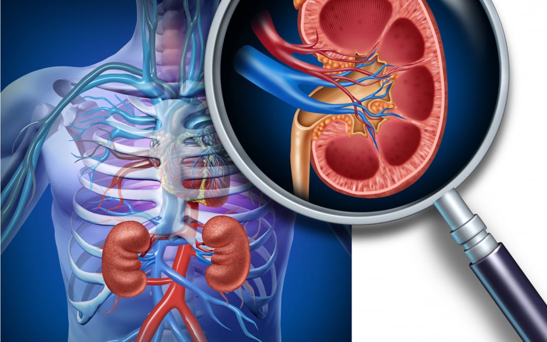 Dialysbehandling innebär att kroppen på konstgjord väg renas från giftiga slaggprodukter samtidigt som salt- och vätskebalansen regleras.