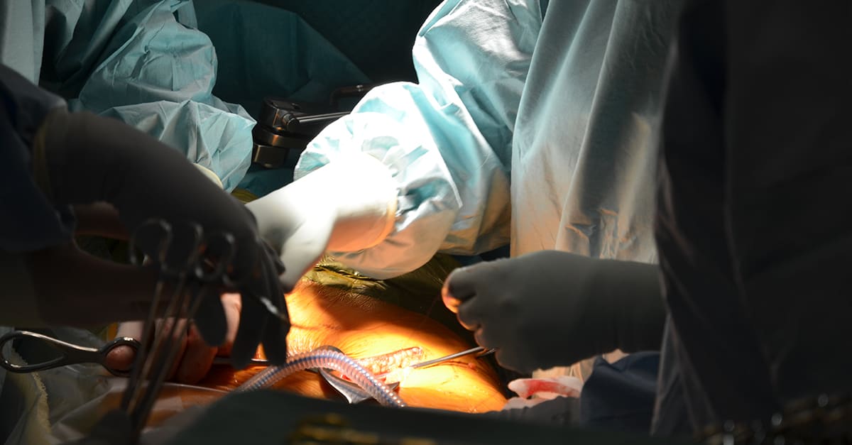 2017 genomfördes 110 njurtransplantationer på Akademiska sjukhuset, nästan dubbelt så många som 2007. Sex av tio levande njurdonatorer är kvinnor vilket uppmärksammas på världsnjurdagen 8 mars