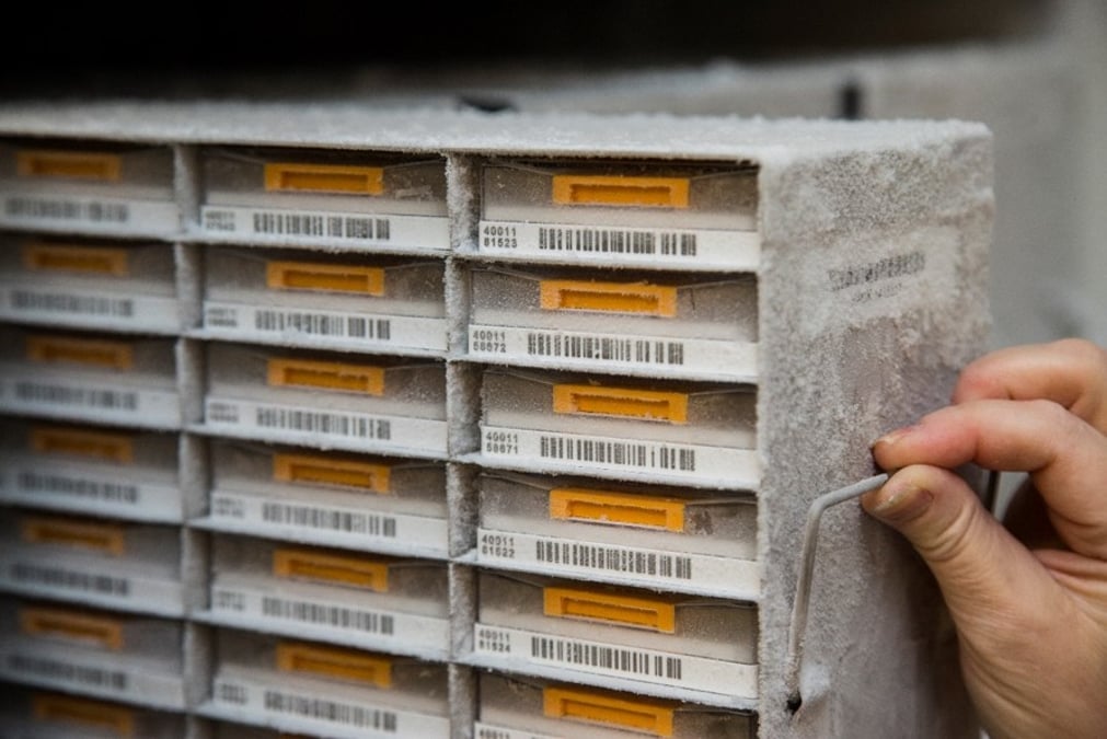 Foto: Staffan Claesson