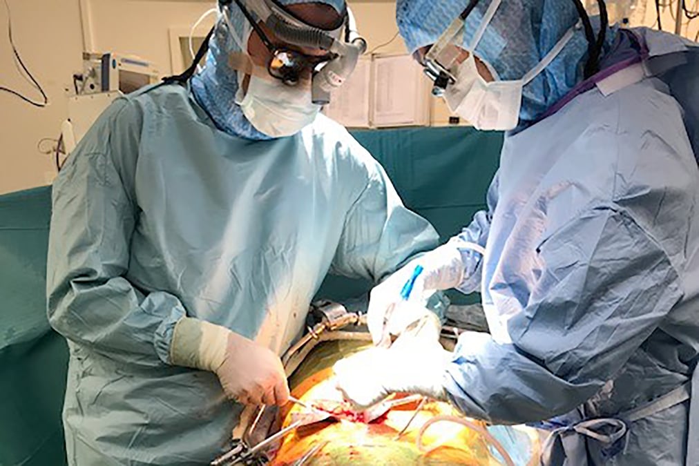 Den första njurtransplantationen enligt den nya DCD-processen genomfördes på Akademiska sjukhuset 2019. Nu har berörd personal utbildats och sjukhuset är berett att skala upp.