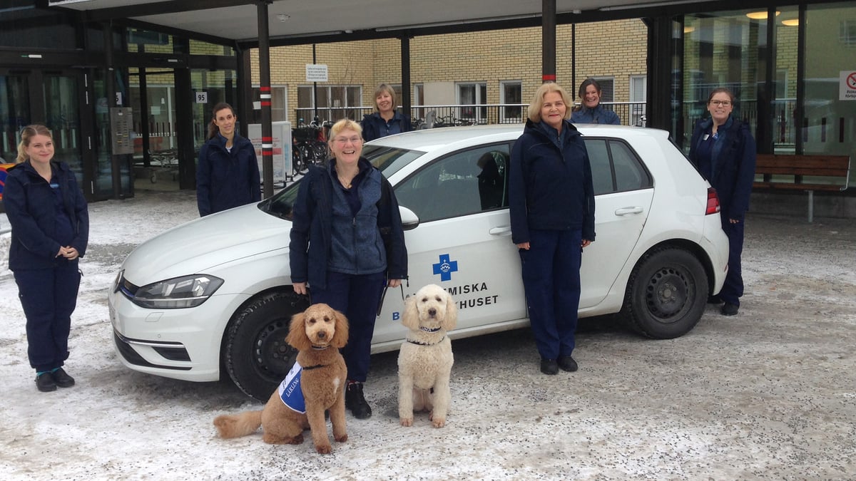Teamet inom barnsjukvård i hemmet hjälper bland annat för tidigt födda barn i behov av andningshjälp. Bakre raden från vänster: Caroline Lund, Anna Sjölund, Eva Lundberg, Karin Holmgren och Maria Qvarnström. Främre raden Ann Edner (med hundarna) och Maria Norman.