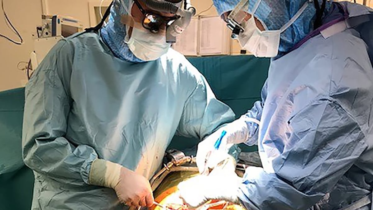 Totalt har ett tjugotal patienter transplanterats med njurar från DCD-donatorer på pilotsjukhusen i Sverige. Den första genomfördes på Akademiska sjukhuset 2019.