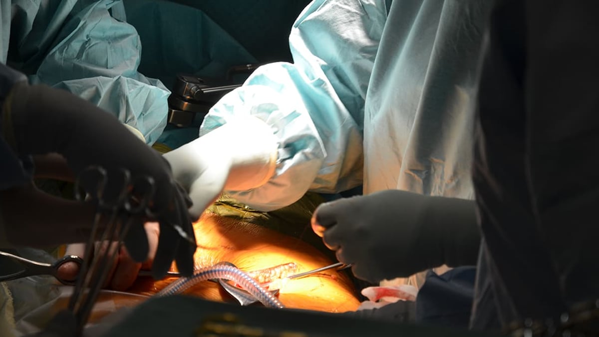 2017 genomfördes 110 njurtransplantationer på Akademiska sjukhuset, nästan dubbelt så många som 2007. Sex av tio levande njurdonatorer är kvinnor vilket uppmärksammas på världsnjurdagen 8 mars