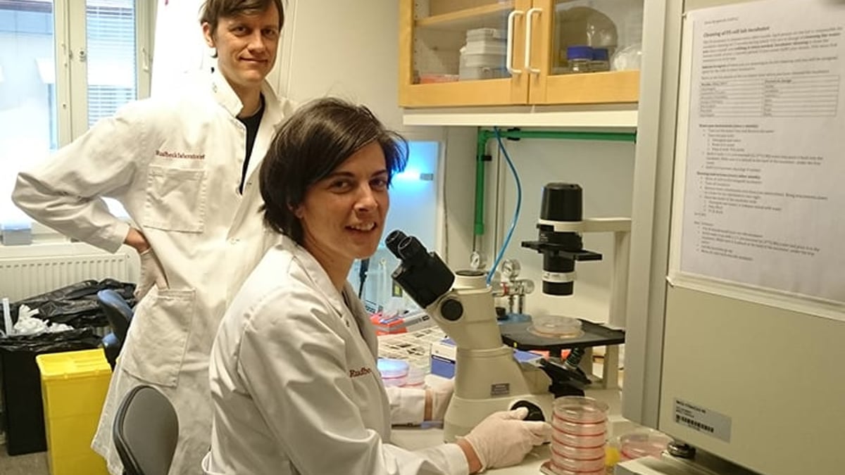 Fredrik Swartling och Geraldine Giraud forskar på elakartade hjärnstamstumörer hos barn - så kallade ponsgliom. Bättre kunskap om hur tumörerna utvecklas kan leda till ny bromsbehandling.