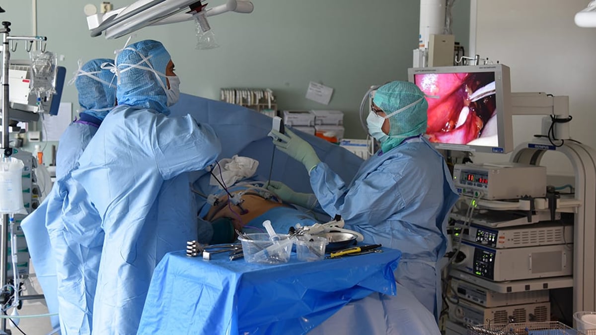 Allt fler svårt njursjuka transplanteras med njurar från levande donatorer. Operationen där njuren tas ut kallas levandegivarenefrektomi.