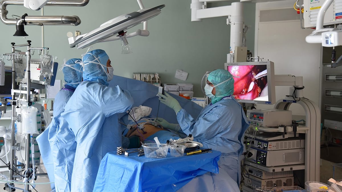 Tack vare njurbytesprogrammet STEP kan fler svårt njursjuka transplanteras med organ från levande donatorer.