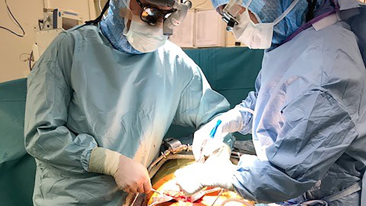 Den första njurtransplantationen enligt den nya DCD-processen genomfördes på Akademiska sjukhuset 2019. Nu har berörd personal utbildats och sjukhuset är berett att skala upp.