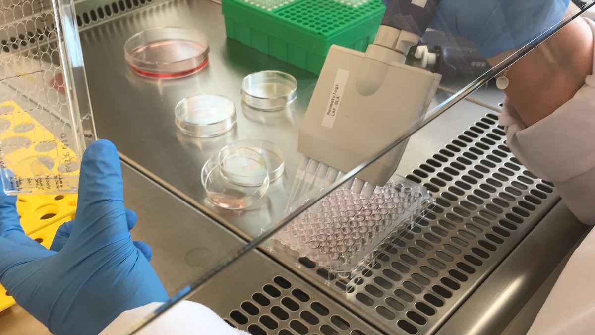 Interiör från SLE-laboratoriet, Uppsala universitet