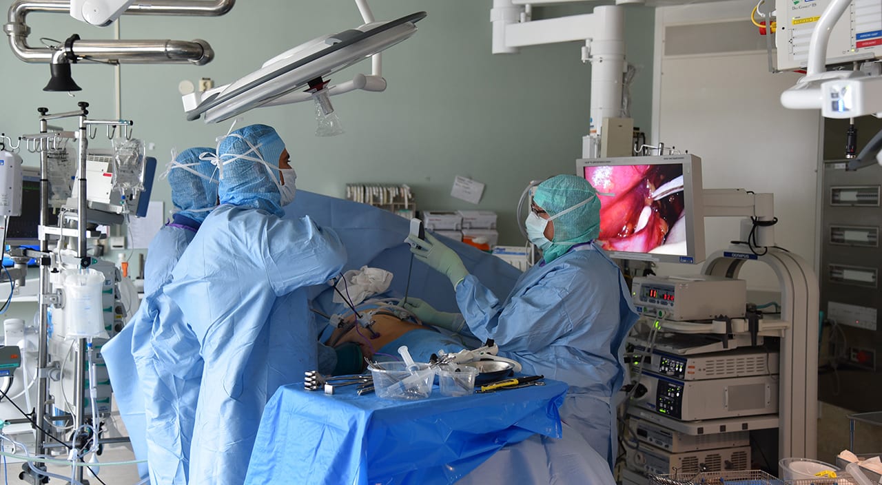 Tack vare njurbytesprogrammet STEP kan fler svårt njursjuka transplanteras med organ från levande donatorer.