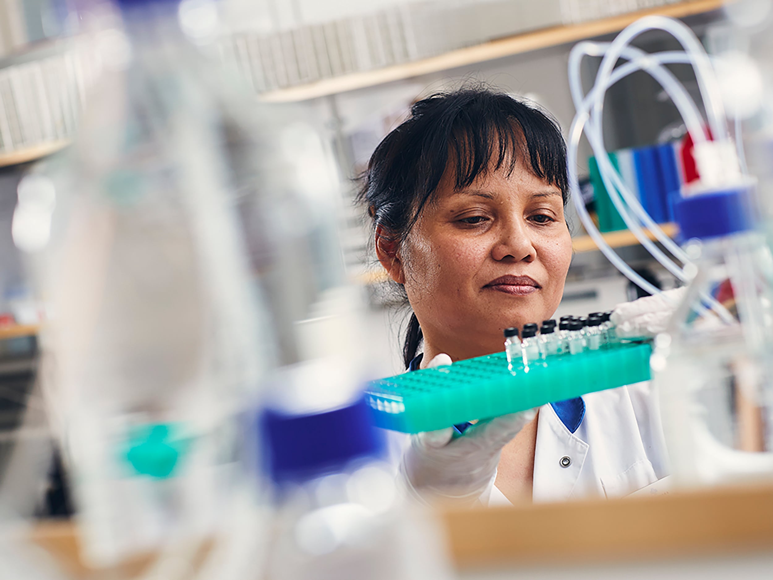 Drygt 16 procent av alla kvinnor i åldern 30–49 år har förhöjd risk att utveckla genetisk bröstcancer och bör erbjudas en individuellt anpassad screeningsstrategi. Det framgår av preliminära resultat från BRIGHT-studien som genomförs i Sverige, Estland och Portugal.