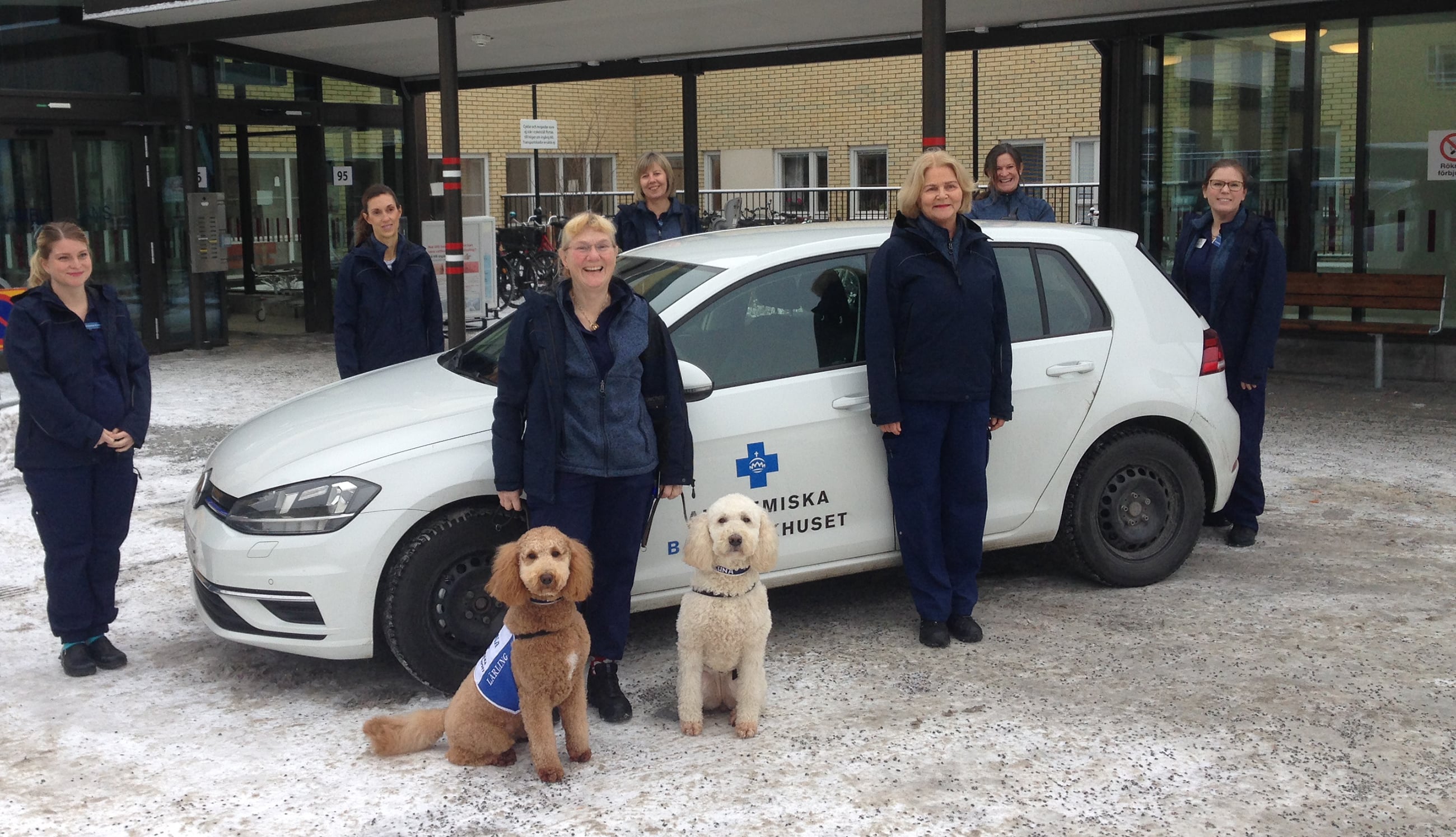 Teamet inom barnsjukvård i hemmet hjälper bland annat för tidigt födda barn i behov av andningshjälp. Bakre raden från vänster: Caroline Lund, Anna Sjölund, Eva Lundberg, Karin Holmgren och Maria Qvarnström. Främre raden Ann Edner (med hundarna) och Maria Norman.