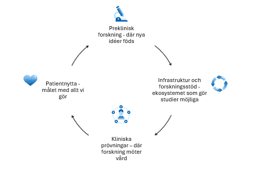 forskningskedja