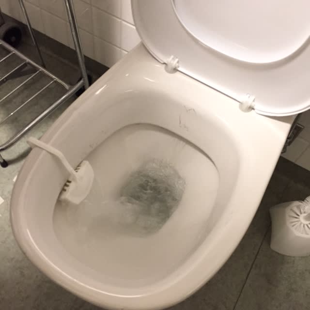 Ett projekt för rening av läkemedelsrester på Akademiska sjukhuset får pris för Årets hållbarbara sjukvårdsinnovation. Metoden innebär att enzymer frigörs i vattnet vid varje spolning. Sjukhuset är först i världen att testa metoden i verklig miljö.