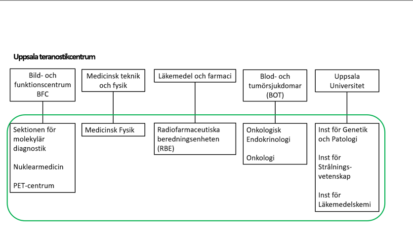 Organisationsskiss för Uppsala Teronistikcentrum.