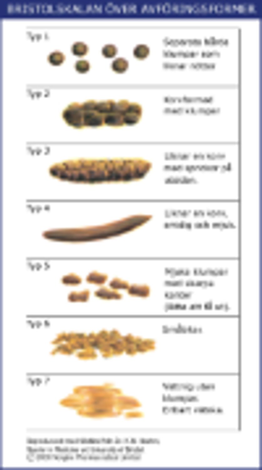 Liten bild av bristolskalan