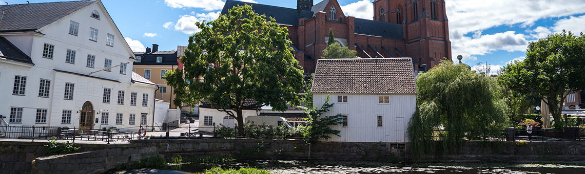 Vy över Domkyrkan i Uppsala.